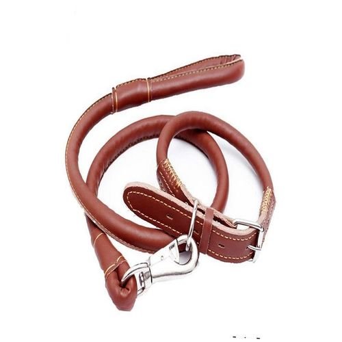 Collar-With-Leather-Leash-5-Feet